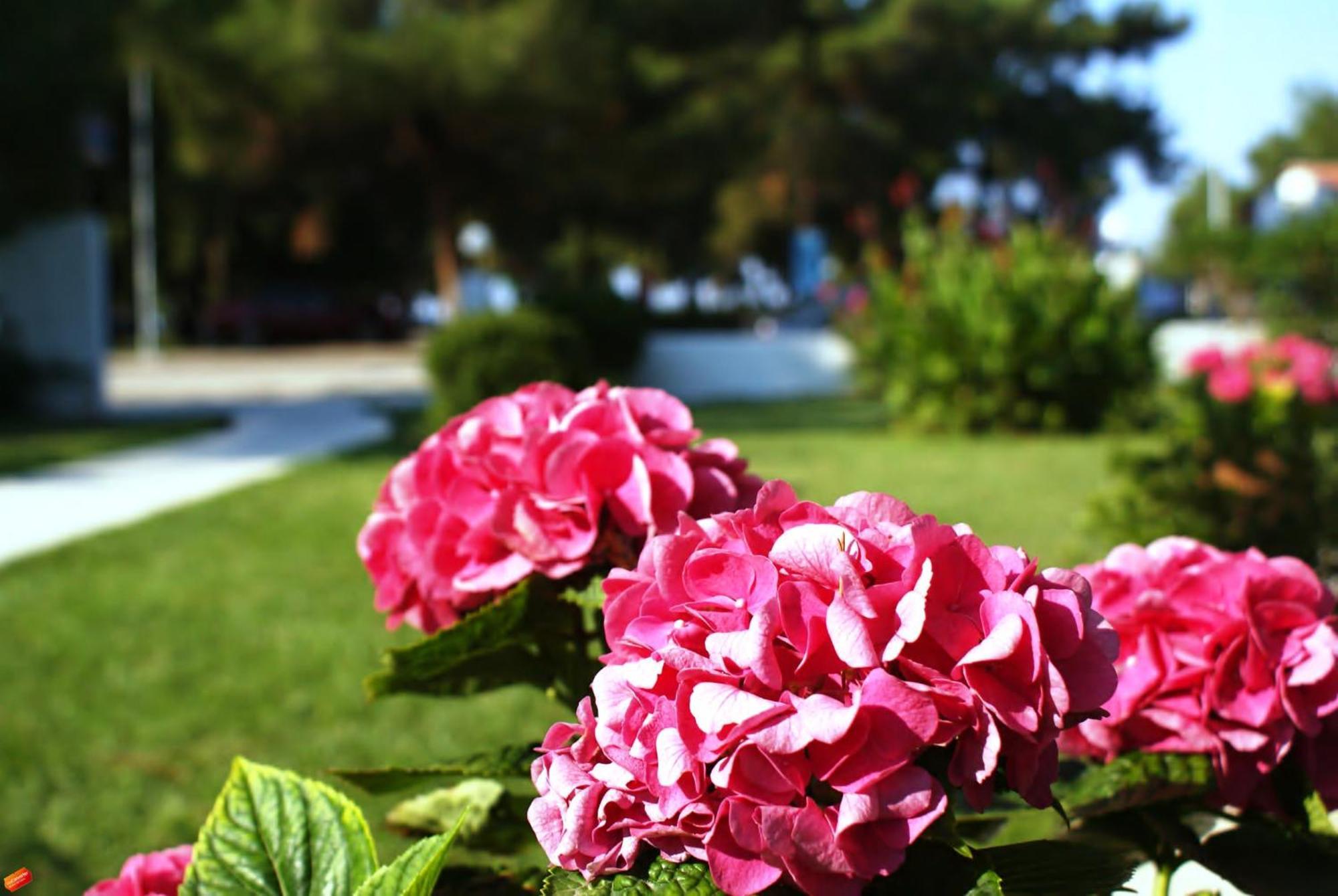 Villa Iris Prinos  Bagian luar foto